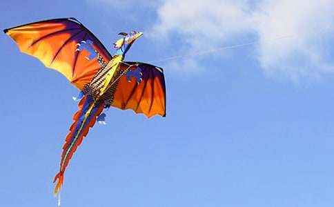 ���ݸ�������6ƪ