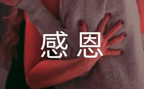 关于感恩的活动总结
