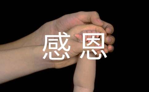 感恩活动策划书格式范文