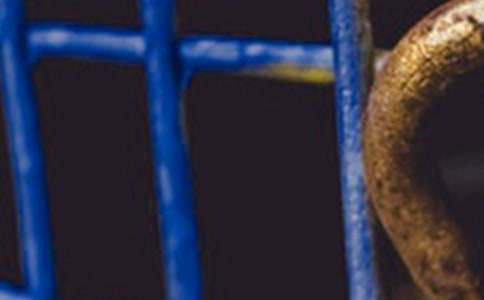 ����ʵϰ�ܽ�