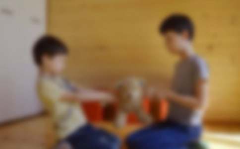 大班社会教案我做哥哥了