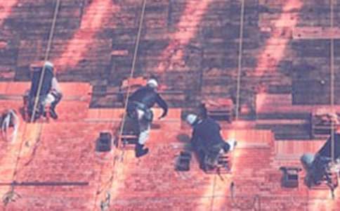 �������ذ�ȫЭ����