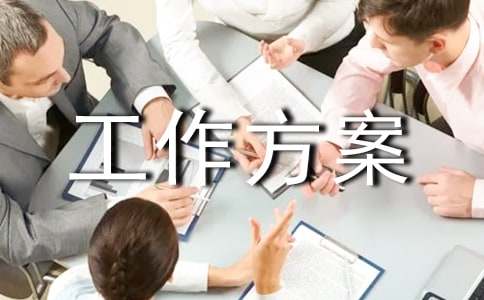 实用的工作方案集合五篇