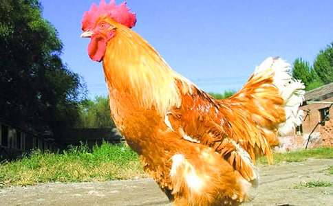 ���ر����𼦹ڵĹ����̰�3ƪ