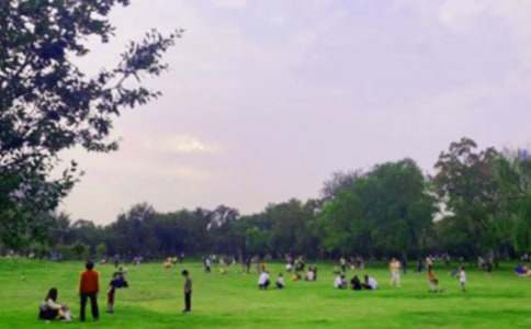 (��)�ι�԰Сѧ����8ƪ