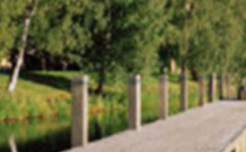 公园玩的日记汇总9篇