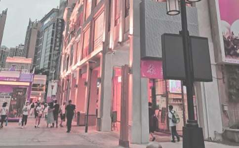 时代广场的蟋蟀读后感