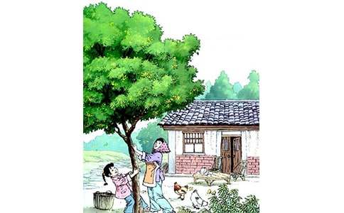 ����̰�15ƪ