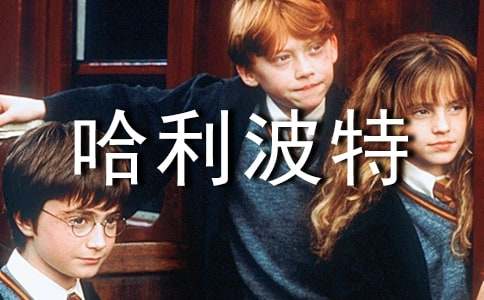 (优选)哈利波特读后感