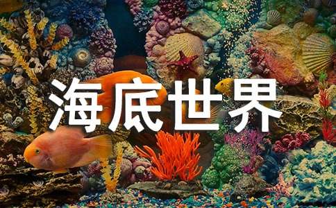 《海底世界》教案优选15篇