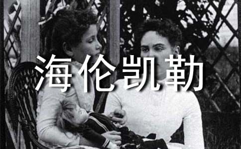 �����׿����Դ��������