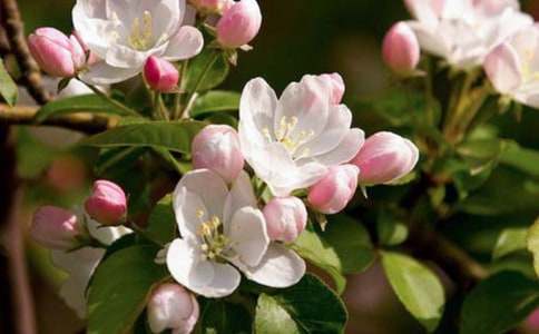 ��еĺ��Ķ����