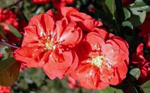 �ۡ����㺣�ġ��и�