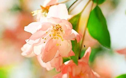 (�ϼ�)���㺣�Ĺۺ��