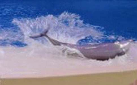 ����ɫ�ĺ��ൺ������У�����15ƪ��