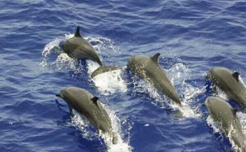 ����ɫ�ĺ��ൺ�������(ͨ��15ƪ)