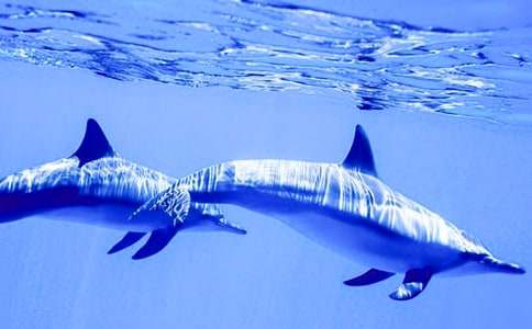 ����ɫ�ĺ��ൺ������кϼ�15ƪ