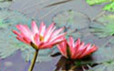 ���ںɻ��̰�����6ƪ