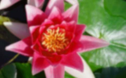 �ɻ��̰����ϰ�ƪ