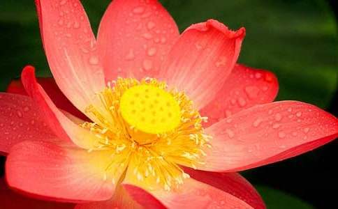 ���ɻ����̰�15ƪ