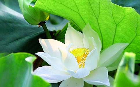 �ɻ��̰�ģ�弯��7ƪ