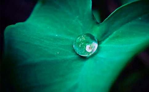 ��ѡ����ҶԲԲ���̰����Ļ���6ƪ