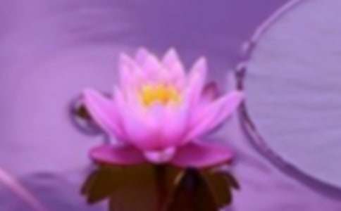 �����Ȱ���������г���и�