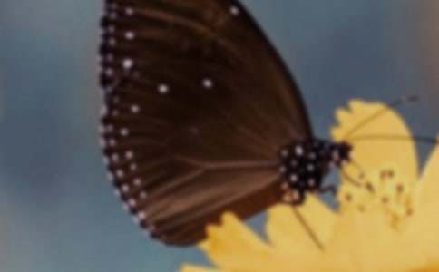 �������һ����̰�