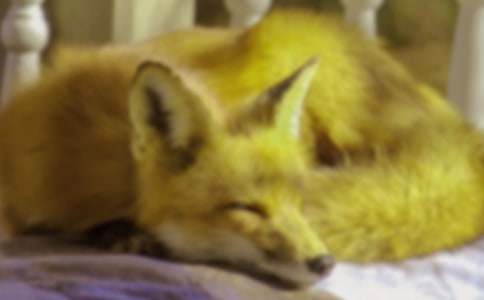 ���˲���ĺ���ְ֡������10ƪ