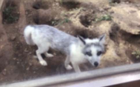 ���˲���ĺ���ְ֡������15ƪ��������