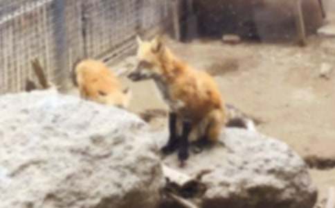 ������ƭһ�εĶ����ͨ��