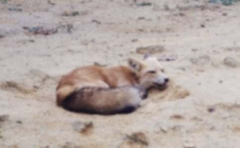 ���˲���ĺ���ְ֡��Ķ����