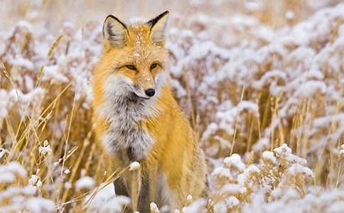 �˲���ĺ���ְֶ����(ͨ��15ƪ)