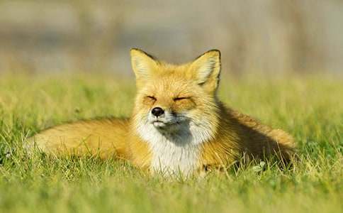 �˲���ĺ���ְֶ���У���ѡ34ƪ��