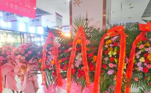 ���໨���̰�