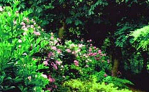 ���˵Ļ�԰��ѧ��˼