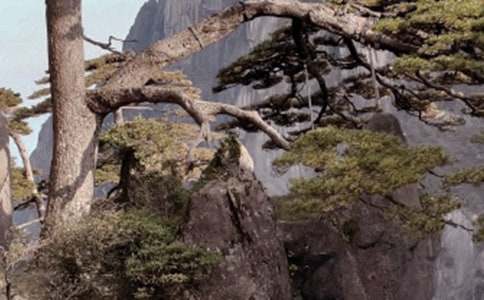 ����ɽ���ɡ��̰�