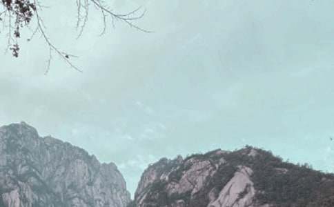 《黄山奇石》教案