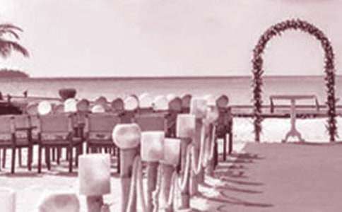 婚礼代东讲话稿