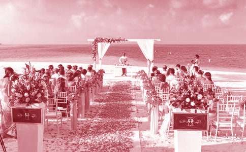 (�Ƽ�)���ɻ����´�