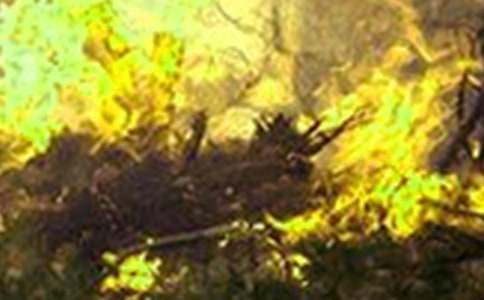 中班安全预防火灾教案(精选10篇)