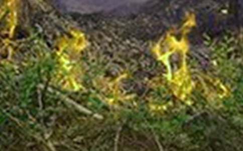 ��λ���ַ��ع�������