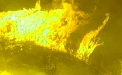 ����վ���������ַ��ع�������