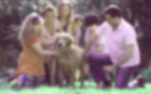 �ۿ���ͥ���������εĹۺ��