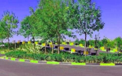 ��У��ְ����(12ƪ)