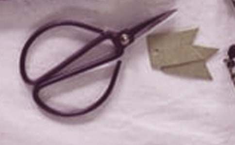 ʯͷ�������̰�15ƪ