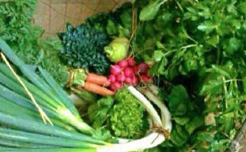 ˯�ߵ����ý����̰�����ѡ13ƪ��