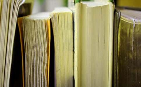 《玫瑰与教育》读后感