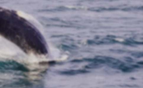 ��ࡶ�����ں��ߡ��̰�����ѡ9ƪ��