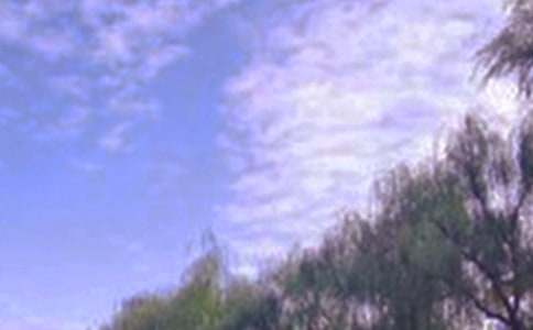 ��ѡ��ɫ�ĳ������ļ�����ƪ